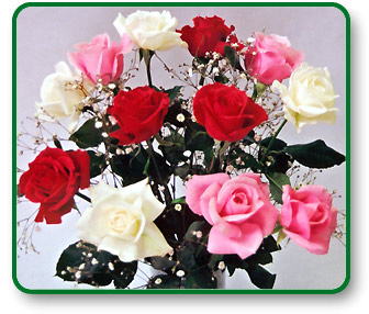 One Dozen  Sweetest Day Roses with Chocolates