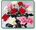 One Dozen  Sweetest Day Roses with Chocolates