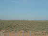 BalloonsLandingSm.JPG (166099 bytes)