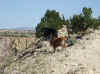 wmPogoBannerLook5jul09sm.JPG (112152 bytes)