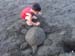 My sand turtle