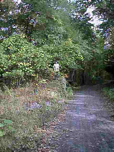 Click to see larger picture