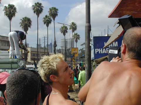 Palms shot