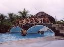 Paseo de fin de a�o (4to curso)