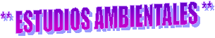 ** ESTUDIOS AMBIENTALES **