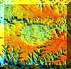 Cr�dito imagem de radar SRTM - NASA, extra�da de