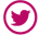 twitter logo
