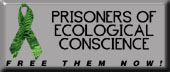 The Green Ribbon Campaign
