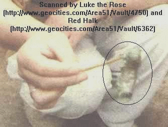 27/12/96 Alien in Israel