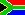 S Africa players