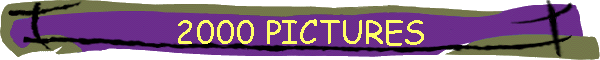 2000 PICTURES