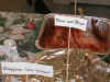 pb230053.jpg (61036 bytes)