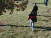 pb230065.jpg (63664 bytes)