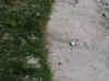 pc080047.jpg (57652 bytes)