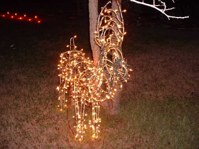 Lighted Reindeer