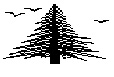 Pine homepage