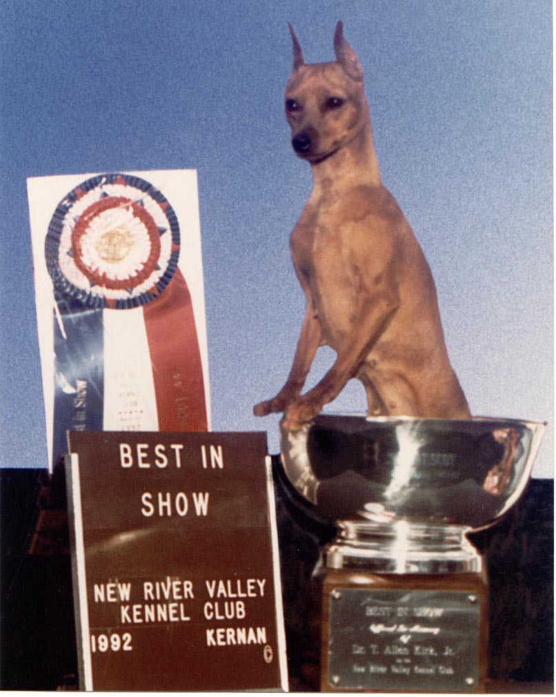 One of five Best in Show sisters