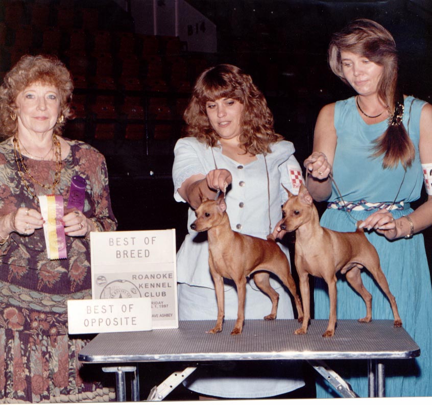 Owners Dicy Howell and Carol Atkins