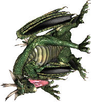 dragon left side
