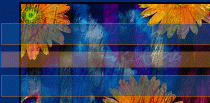 border