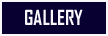 To Gallery