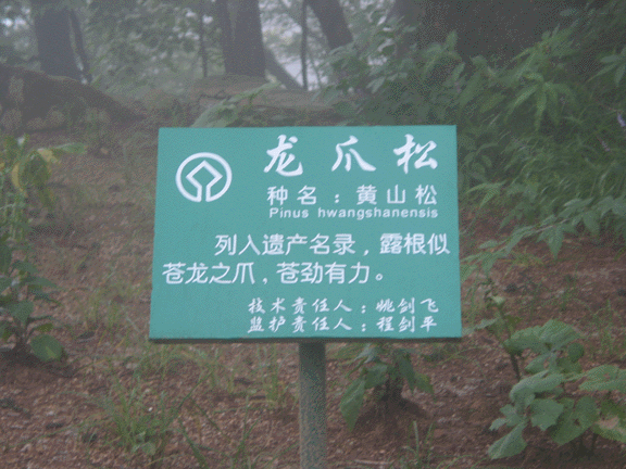 Back to China 2002 Gallery