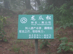 Enlarge Picture