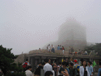 Enlarge Picture