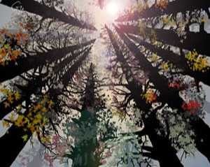Luminous Nature