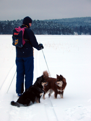 Jussi hiiht�m�ss�