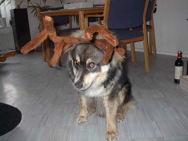 Lalli