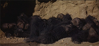 sleep1.jpg (26893 bytes)