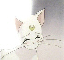 31 (Artemis)
