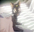 39 (Luna)