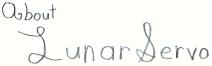 About Lunar Servo