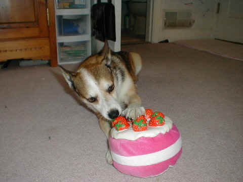 birthday2001cake.jpg (40925 bytes)
