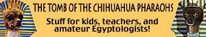 chihuahua.jpg (15108 bytes)