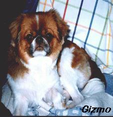 gizmo1.jpg (25480 bytes)