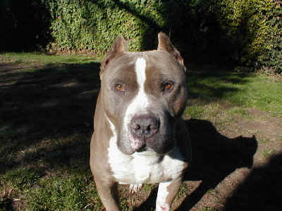 spike.jpg (50980 bytes)