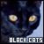 black meow~