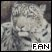 leopardos blancos *-*