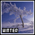 invierno