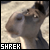 Shrek - Donkey