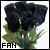 Rosas negras