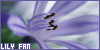 Lirios o Lilas?