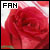 Rosas rojas
