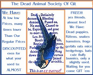 I'ts a DEAD PARROT.. what did you expect to see?