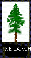 THE LARCH..... the LARCH.....
