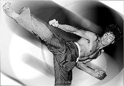 Bruce Picture gallery