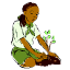 Girl Scouts